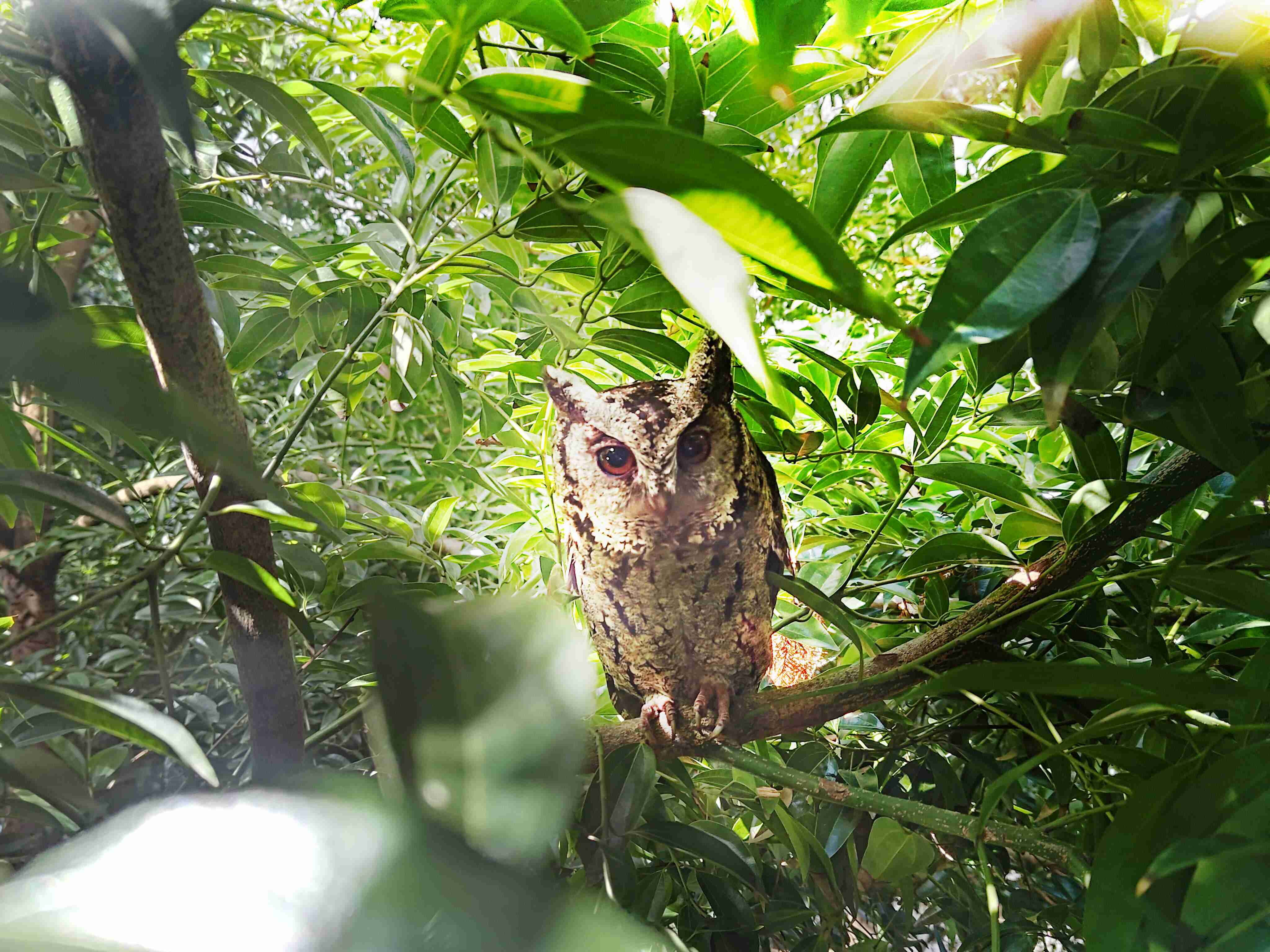 918.COM致力提倡净零绿生活，，，，16年以来在全球各厂区植树逾百万棵，，造就各厂区树木蔚然成林，，，，犹如森林工厂，，成为许多生物的栖息地